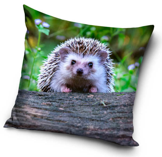 Hedgehog Cushion cover/Pillowcase 38 x 38 cm