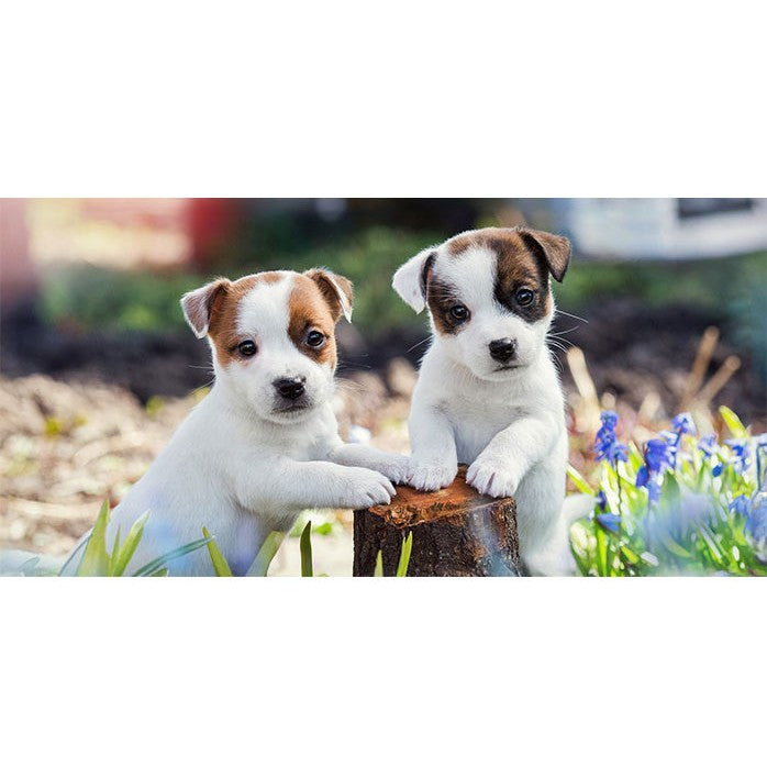 Jack Russell Puppy Dog Bath Beach Towel 100% COTTON 70 x 140 cm