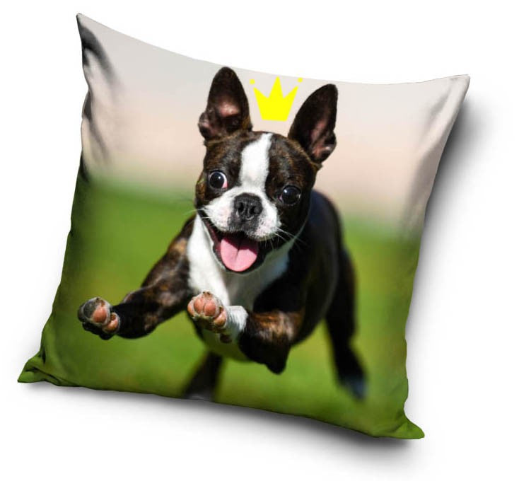 French Bull Dog Cushion Cover/Pillowcase 38 x 38 cm