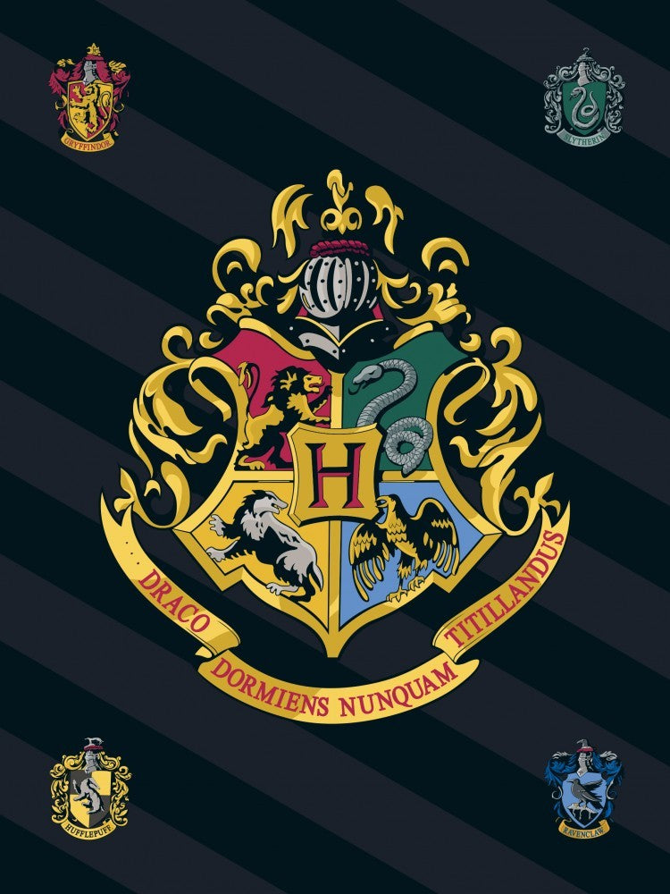HARRY POTTER Hogwarts Coat of Arms Fleece Blanket 100 x 140 cm