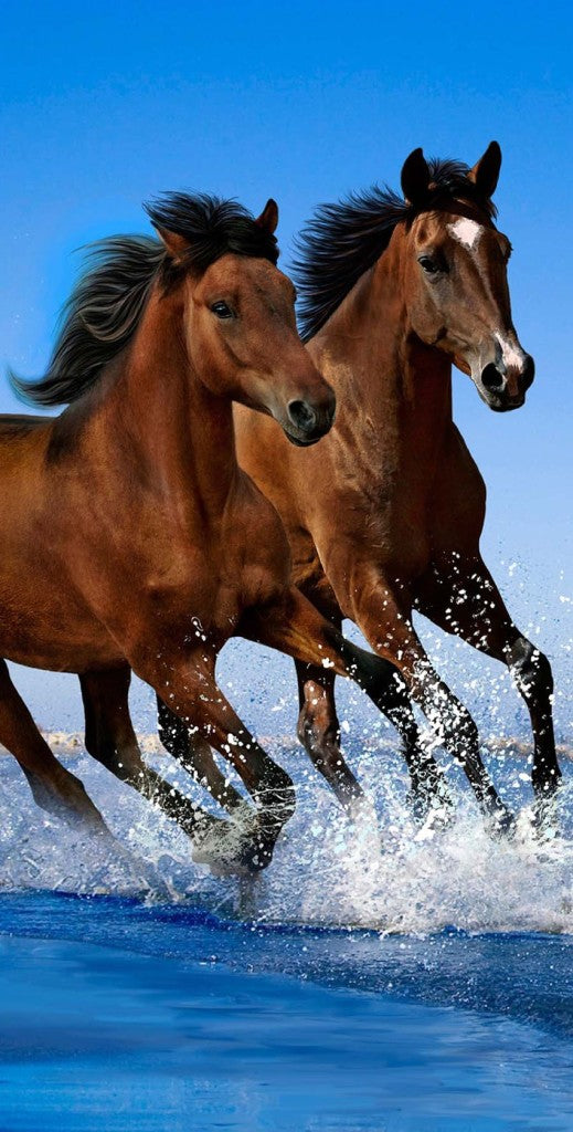 Brown Horses Beach Bath Towel 100% COTTON 140 x 70 cm Stallion Running