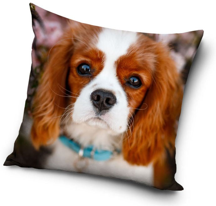CAVALIER KING CHARLES Spaniel Dog Cushion Cover/Pillowcase 38 x 38 cm