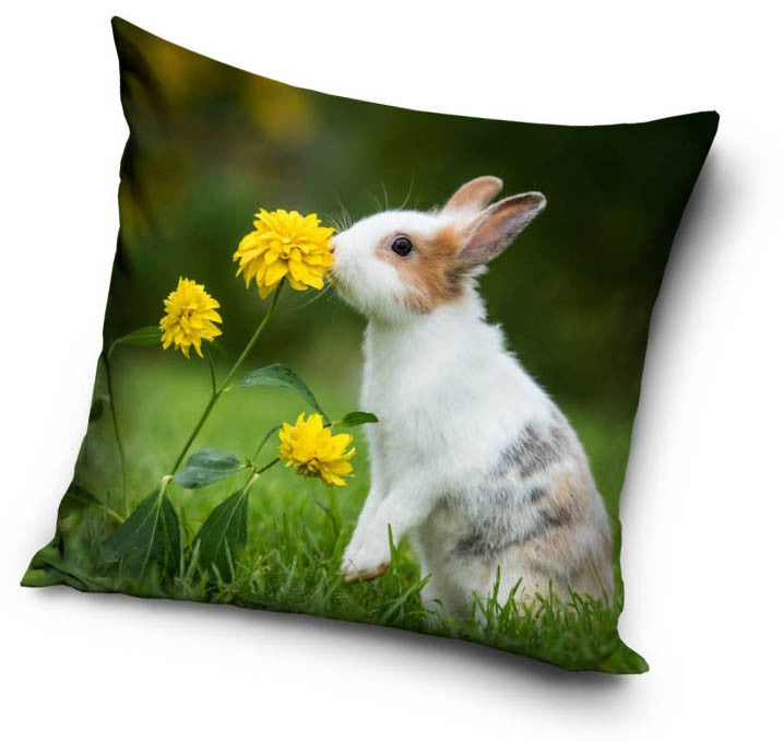 Rabbit Cushion Cover/Pillowcase 38 x 38 cm Bunny